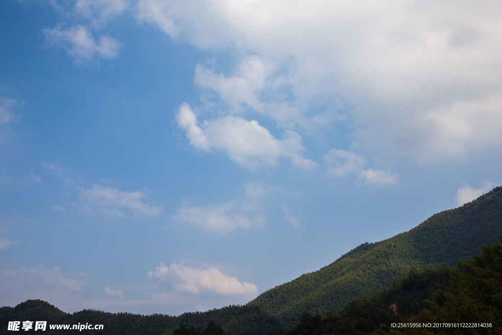 雷钵底