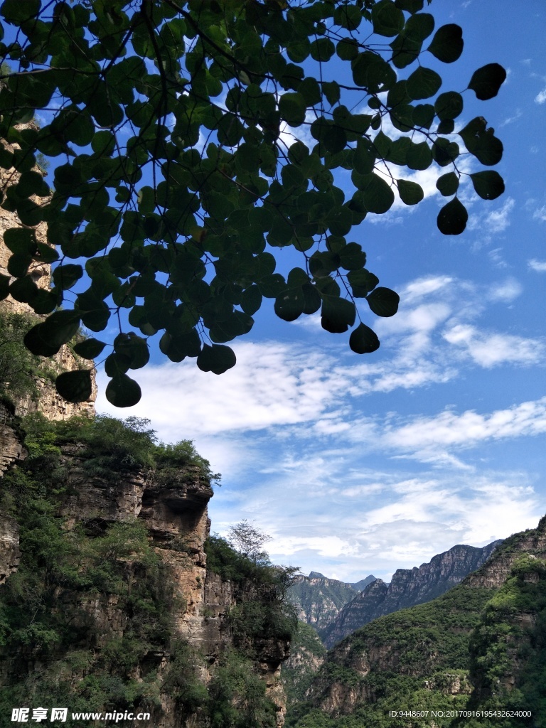 青山