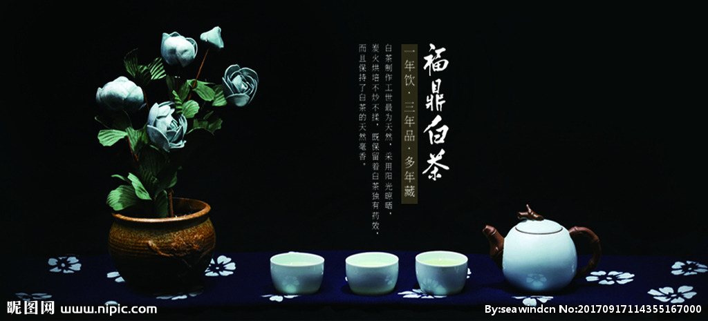 福鼎白茶