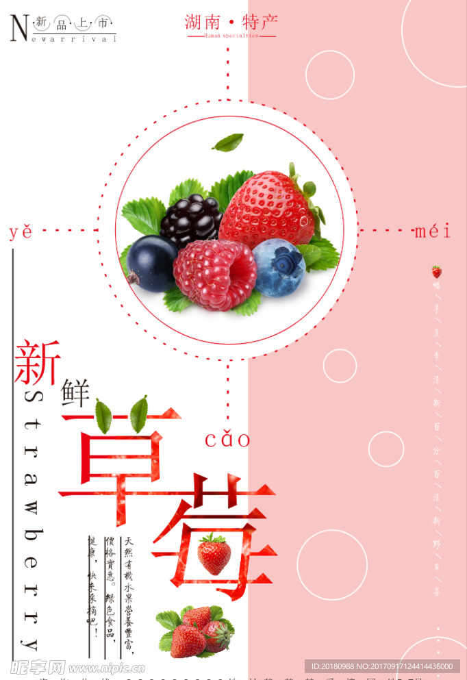草莓