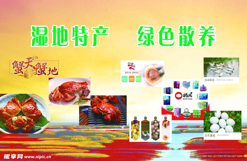 河蟹