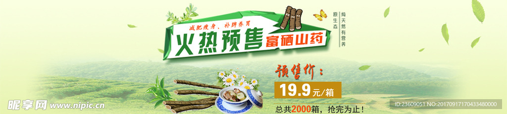 富硒山药