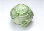 白菜