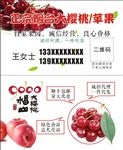 大樱桃苹果名片