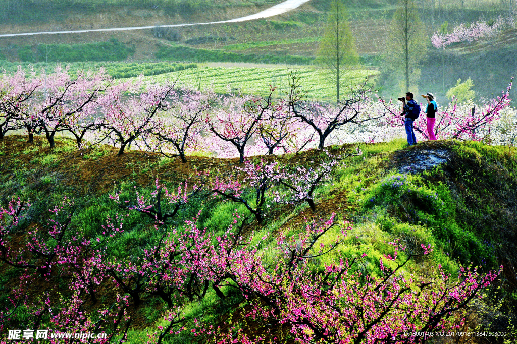 桃花源