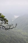 山谷风景