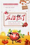 石榴熟了卡通扁平化