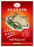 南乡鸭美食宣传单