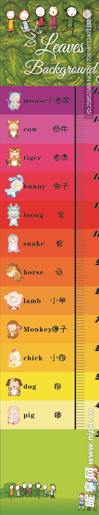 身高表