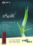 冰箱 绿色 传单