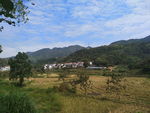 田园风光