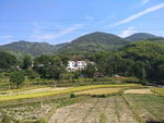 田园风光