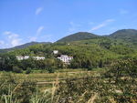 田园风光