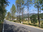 乡村道路