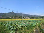 田园风光