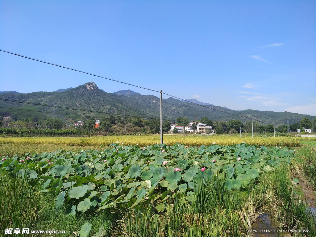 田园风光