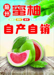 蜜柚海报