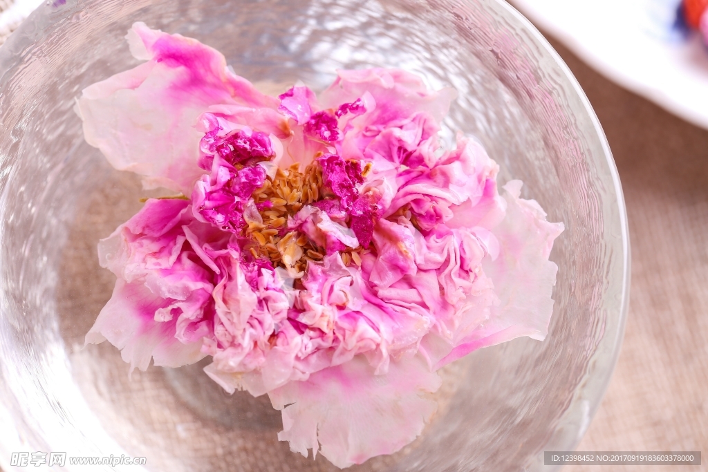 菊花茶