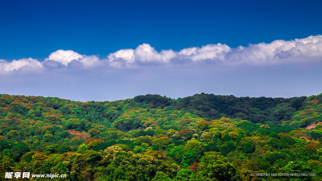 壁纸 电脑桌面 风景 自然景观