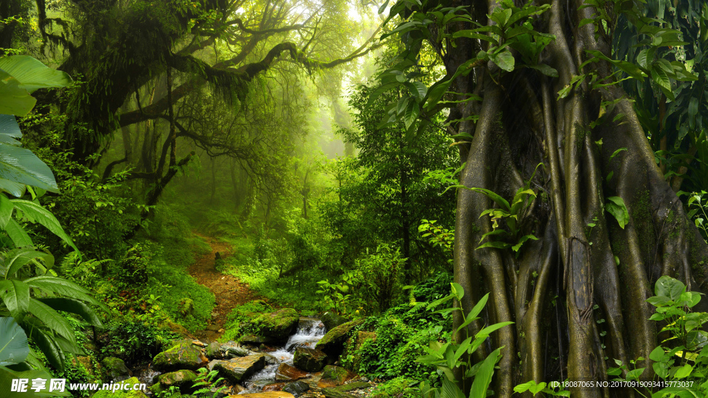 壁纸 电脑桌面 风景 自然景观