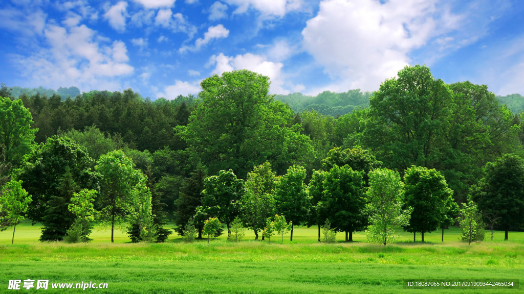壁纸 电脑桌面 风景 自然景观