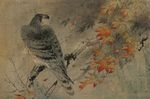 手绘水彩花鸟