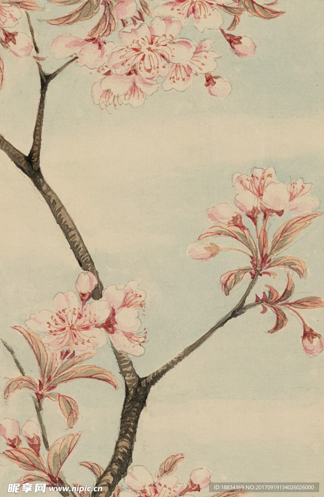 手绘水彩花