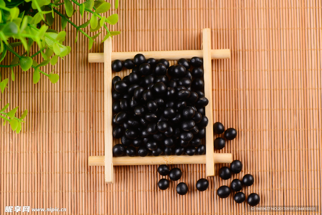 黑豆