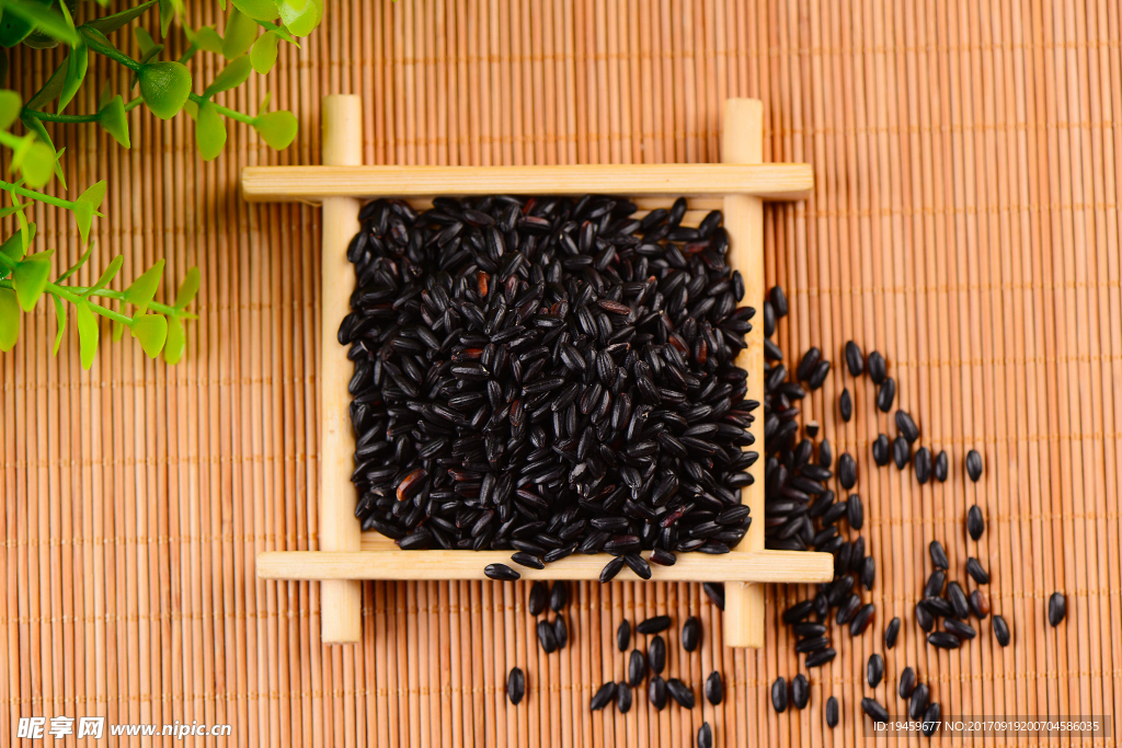黑米