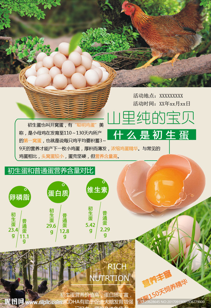 农家土鸡蛋宣传单笨鸡蛋活动单页