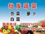 批发蔬菜