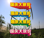 国庆大放价