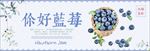 蓝色小清新蓝莓水果美食电商