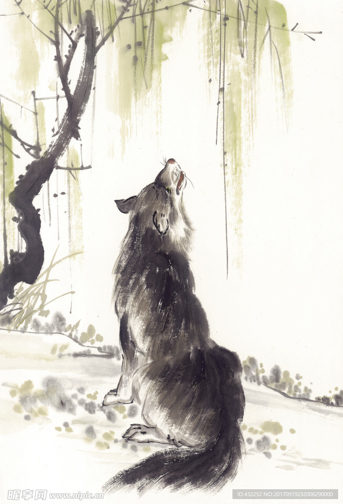 狼
