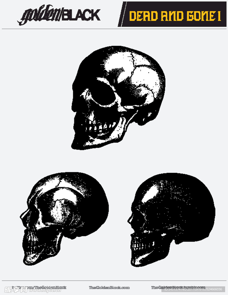 素描解剖学颅骨结构