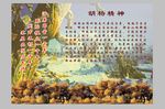 胡杨精神介绍