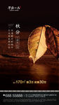 房地产质感大气高端秋分节海报
