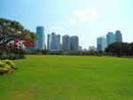 城市绿地