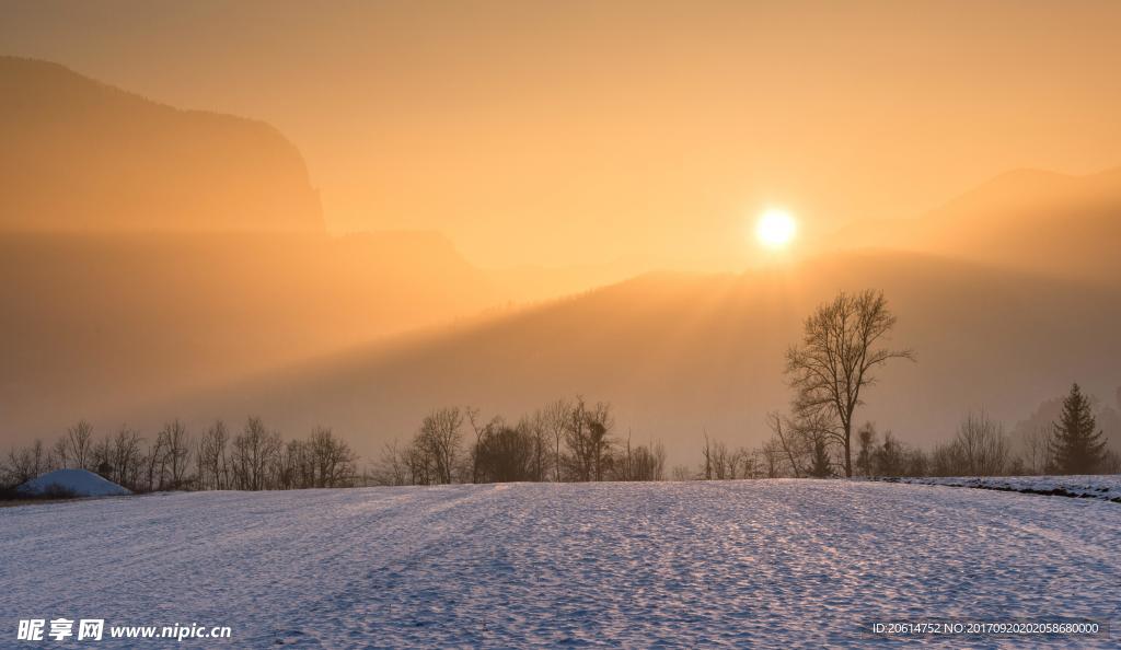 雪原美景