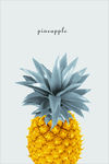 菠萝海报