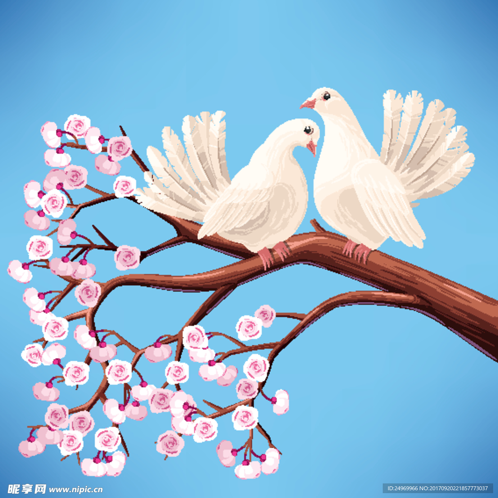 鸽子