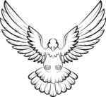 鸽子