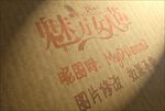 纸箱LOGO样机