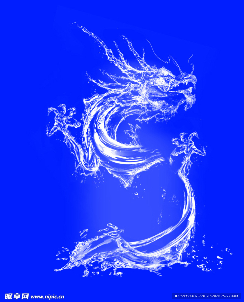透明水龙