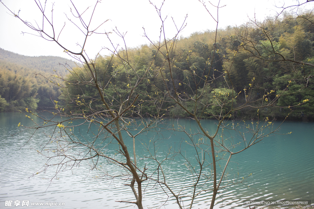 青山绿水
