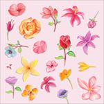 水彩绘画野花花枝