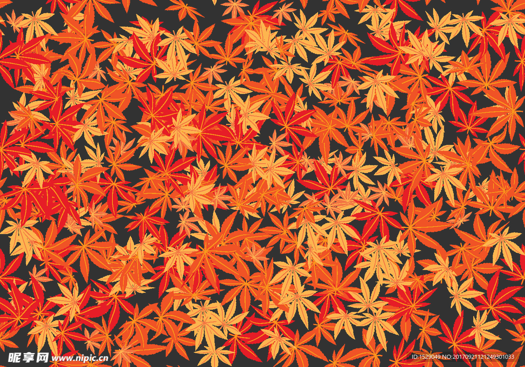 秋天枫叶