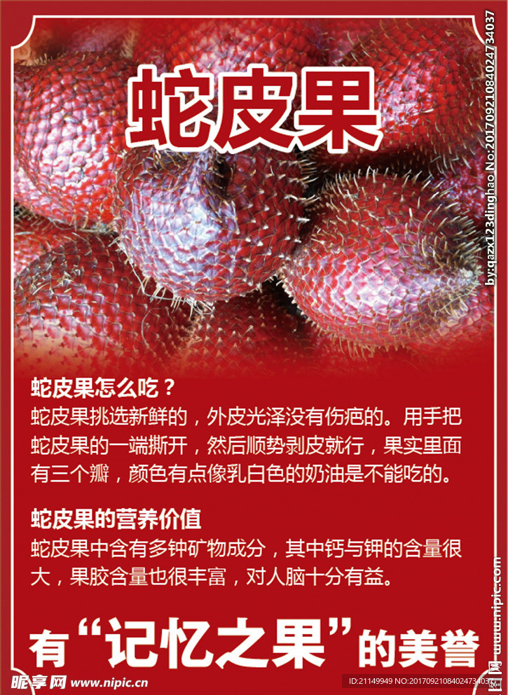 蛇皮果 A4