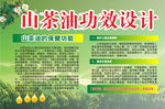 山茶油功效展板