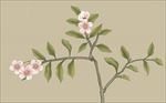 手绘 花